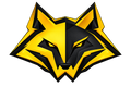 AlphaFunGamer Customs – originales Waschbär-Logo